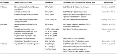 Innovative Production of Bioproducts From Organic Waste Through Solid-State Fermentation